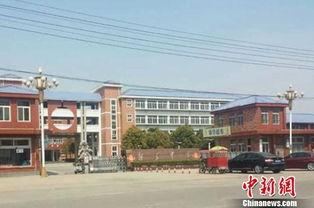 徐州沛县最新爆料新闻,最新爆料揭示惊人真相 第3张 徐州沛县最新爆料新闻,最新爆料揭示惊人真相 第3张